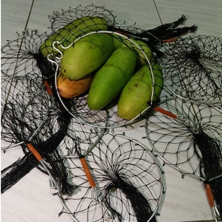 Alat pemetik buah mangga alpukat dll orok buah