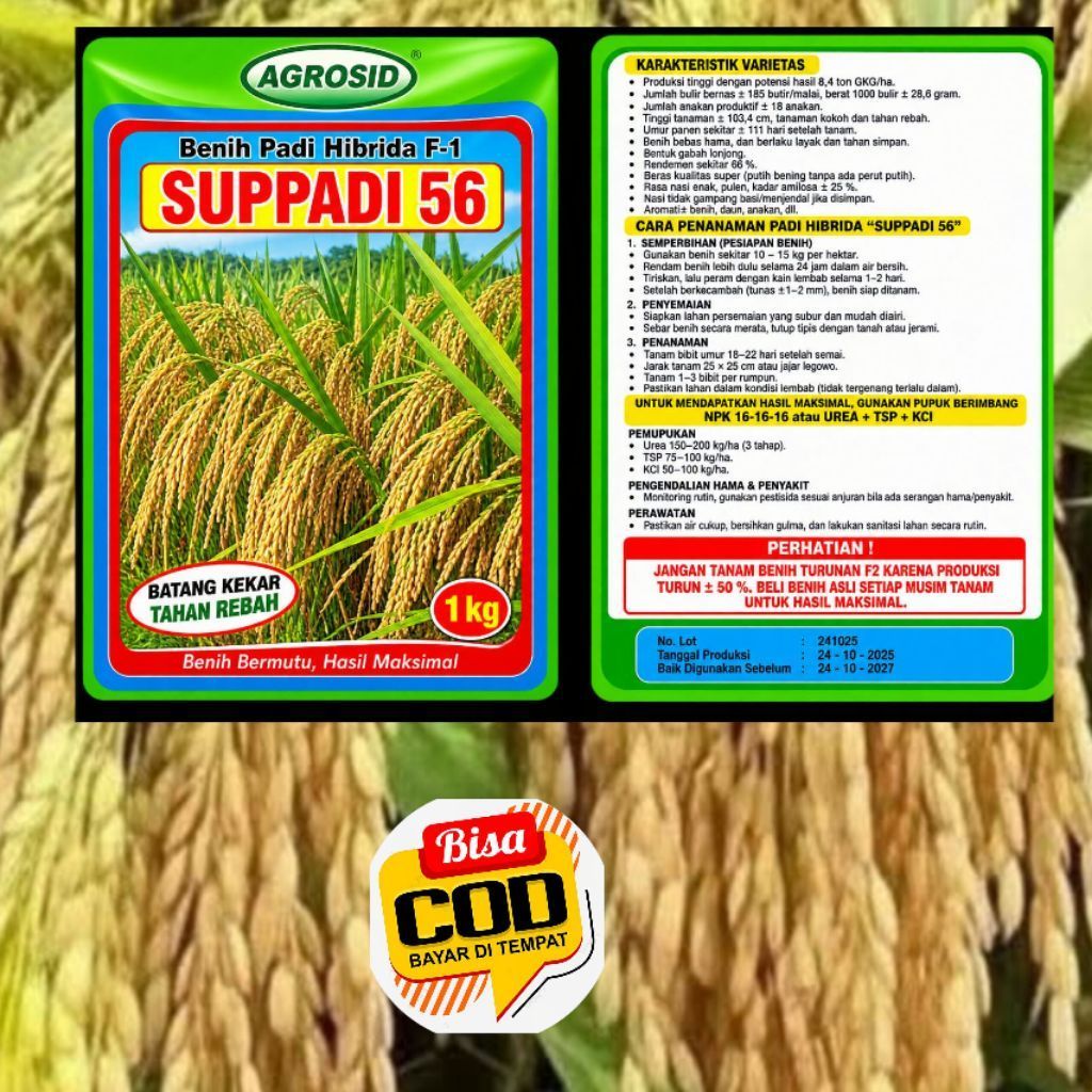 BENIH PADI SUPER UNGGUL SUPADI 56