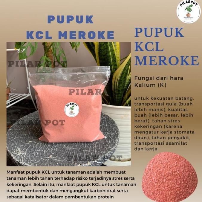 Harves- Pupuk Kcl Meroke Mop Kemasan Repack 1 Kg - Kcl Meroke Mop Repack