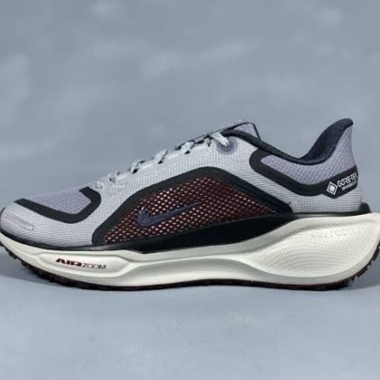 Sepatu NIKE Pegasus 41 GTX