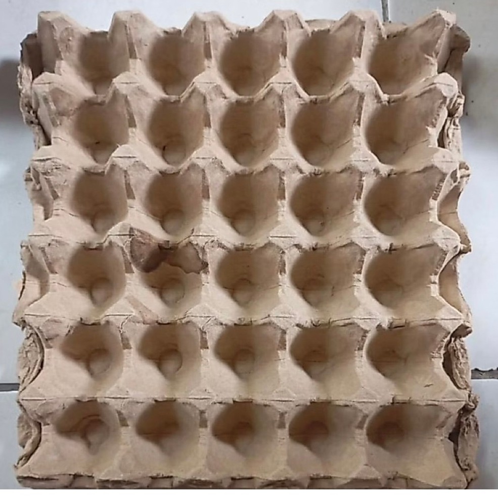 (instan bojonegoro) Egg Tray Karton Bekas - Praktis, Ekonomis