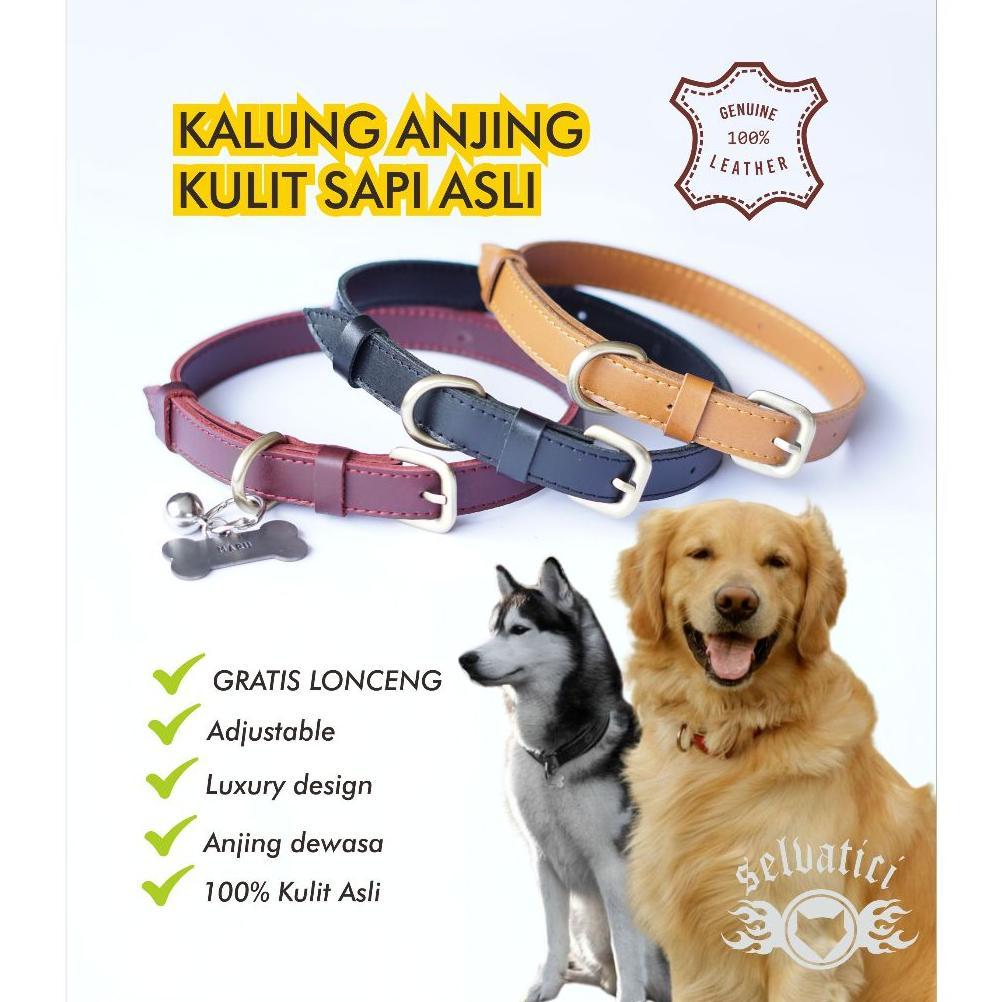 Selvatici Kalung Kulit Anjing gratis ukir tag nama bahan besi kulit sapi asli liontin logam anti kar
