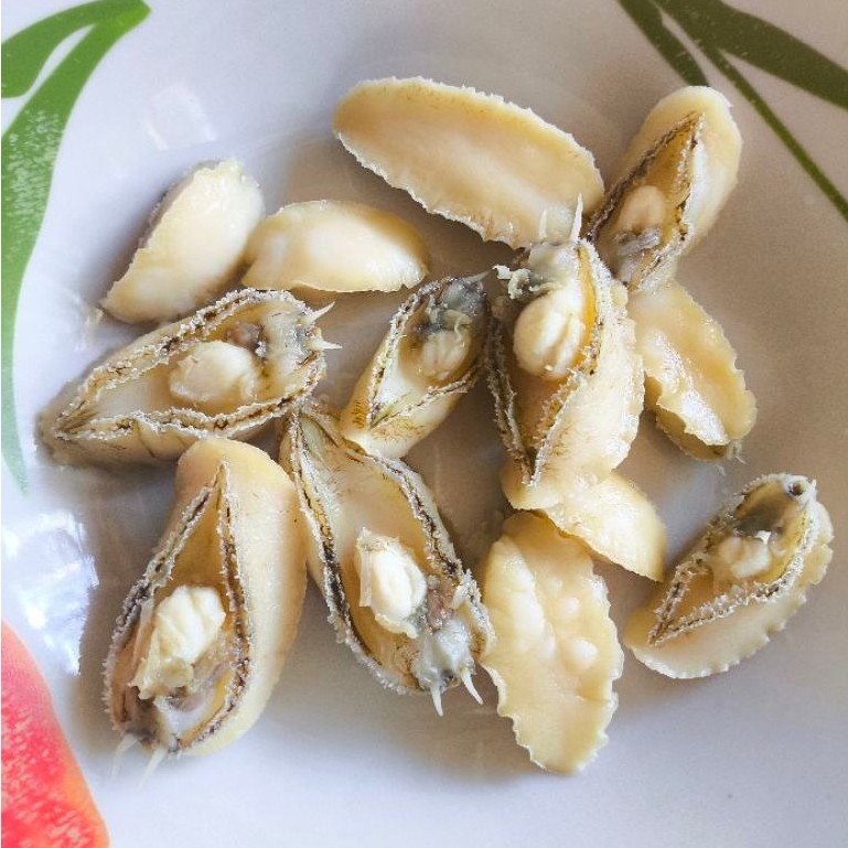 Kerang Abalone Kering 100% (100gr)