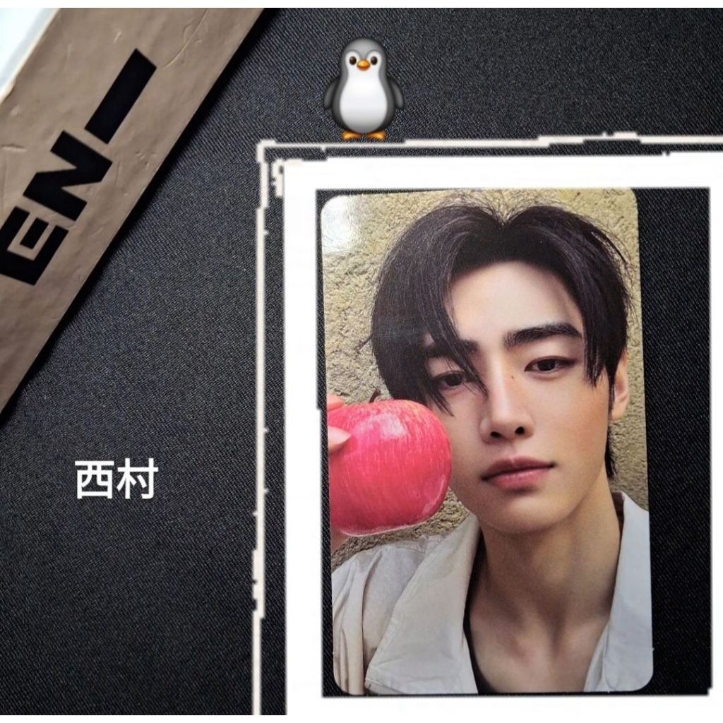(READY STOCK) Photocard Official Sunghoon Enhypen The Sin : Vanish / Sunghoon Apel / Album Fugitives