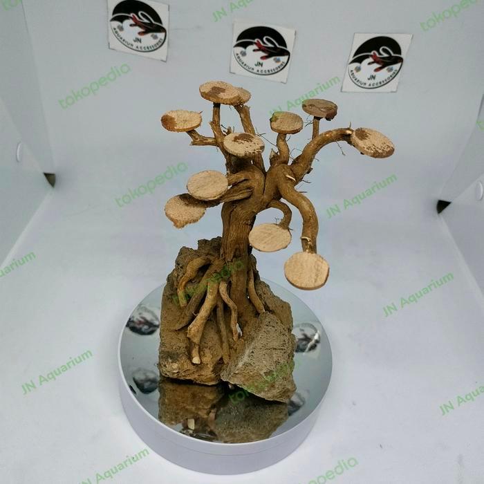 Tebing Bonsai Uk. S Tebing aquarium Tebing Aquascape