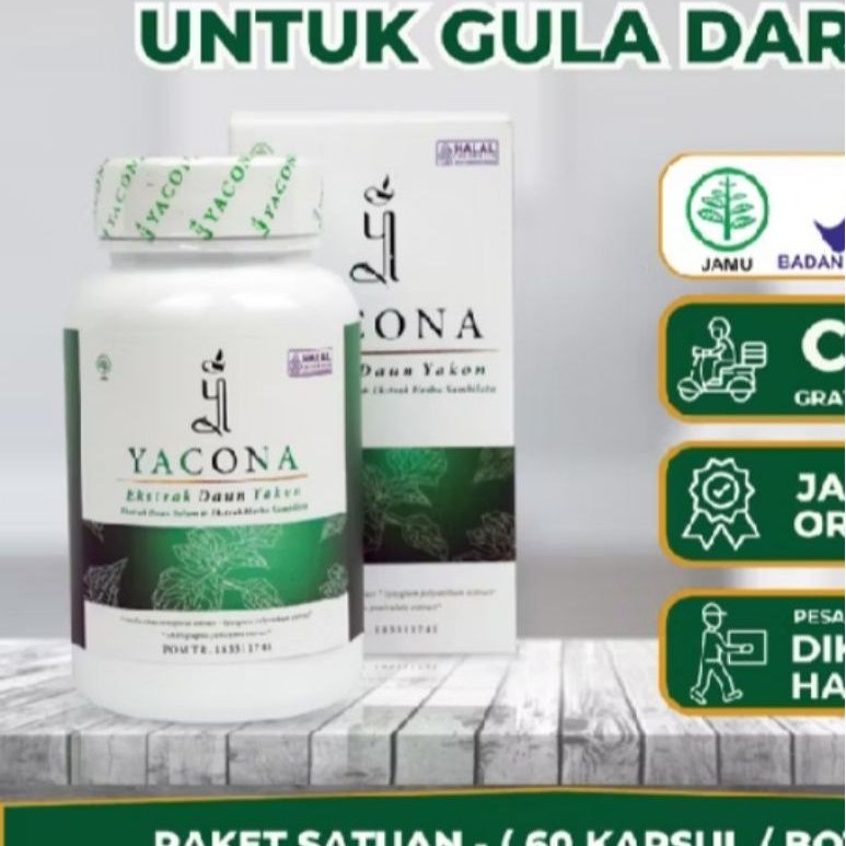 Yacona asli isi 60 kapsul herbal kesehatan ampuh turunkan gula darah tinggi