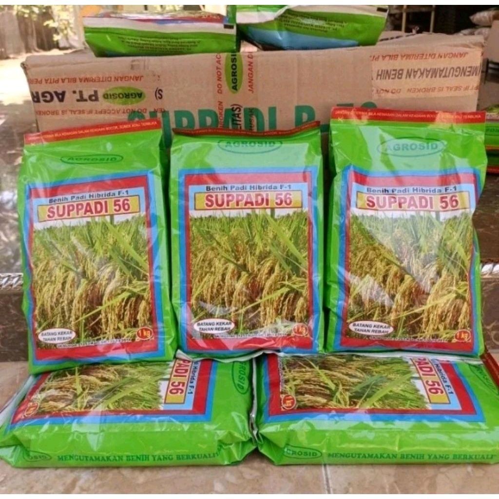 BENIH PADI SUPPADI 56 ORIGINAL KEMASAN 5KG