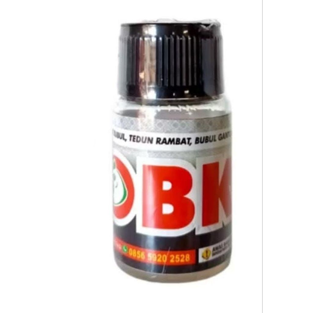 OBK BL Bubul Ayam Tedun Rambat Bubul Gantung