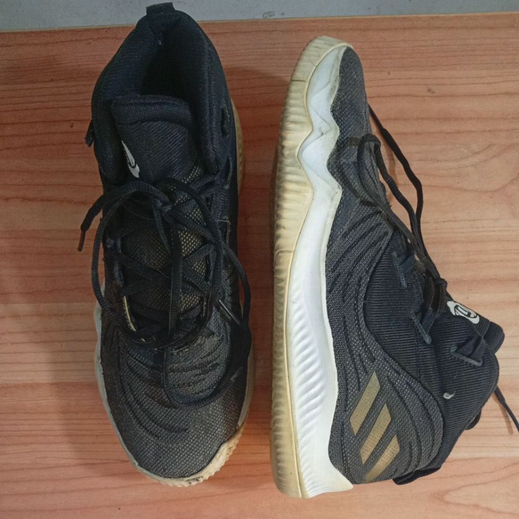 sepatu derrick rose