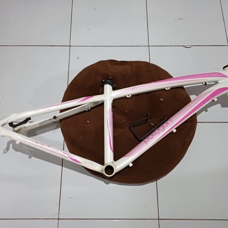Frame Polygon Cleo 2.0
