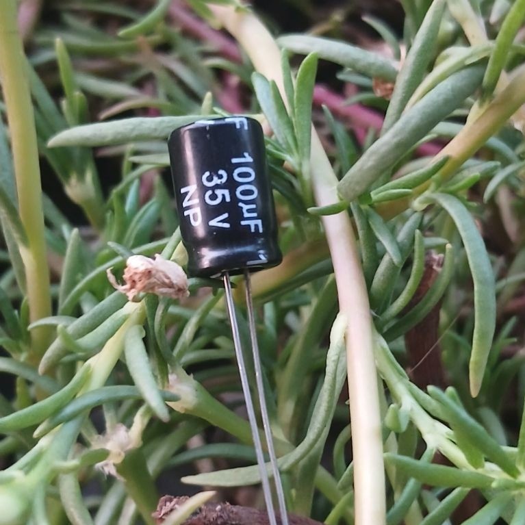 elco 100uf 35v bipolar nonpolar