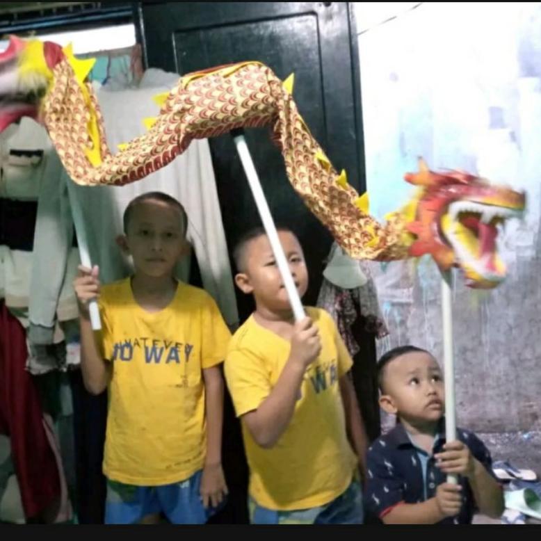 LIONG NAGA MATA NYALA TERBARU ANAK Diskon