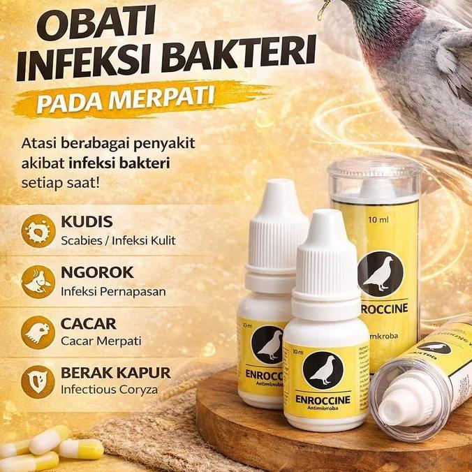 ENROCCINE VITAREST OBAT BURUNG MERPATI BERAK HIJAU KAPUR NGOROK SNOT