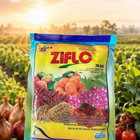 FUNGISIDA ZIFLO 90 WP