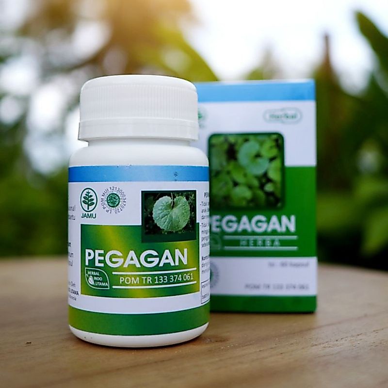 PEGAGAN Herbal Indo Utama HIU - Kapsul Ekstrak Pegagan | Gotu Kola Antanan Suplemen Daya Ingat