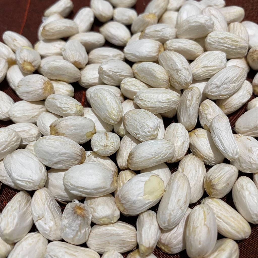Biji Jarak Kupas 50 Biji