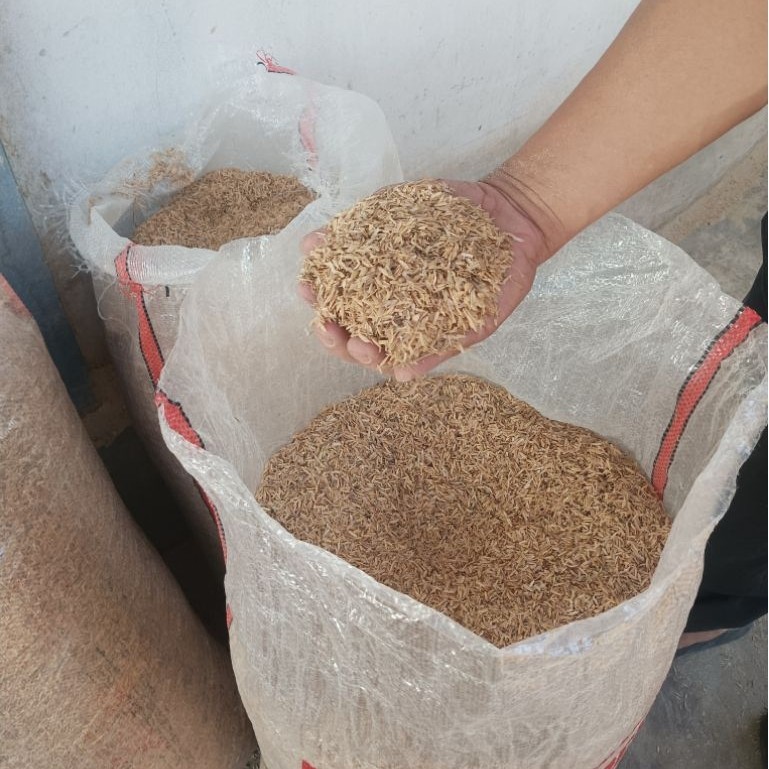 Sekam mentah karung beras 50kg