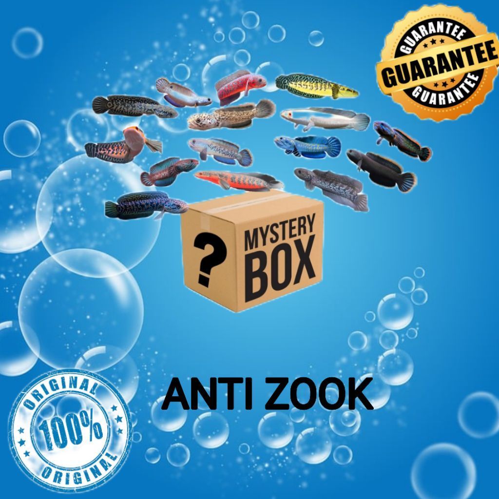 misteri box channa random