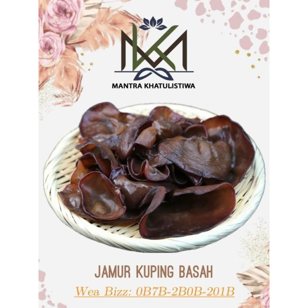 JAMUR KUPING BASAH JAMUR KUPING SEGAR JAMUR KUPING KIMLO