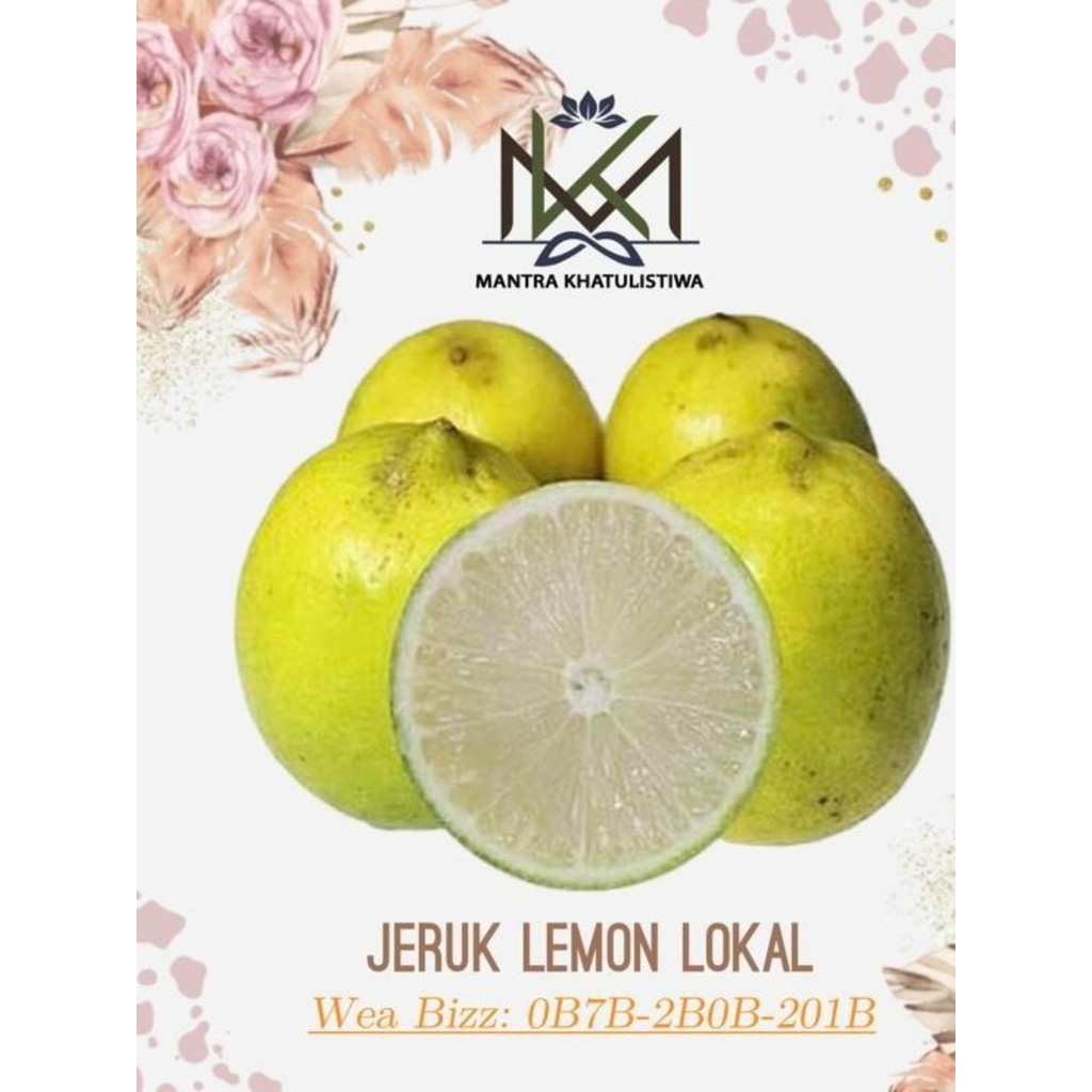 LEMON LOKAL FRESH JERUK LEMON LOKAL SEGAR