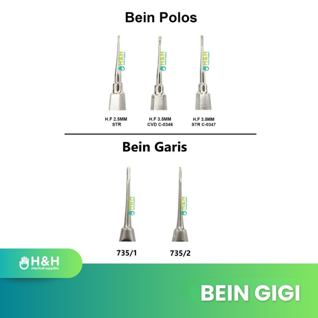 Bein Gigi / Root Elevator / Luxator / Luxating Elevator