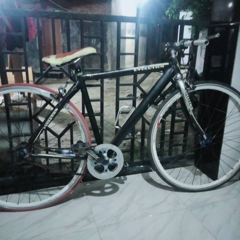 SEPEDA FIXIE UNITED EVOLUTION ALLOY