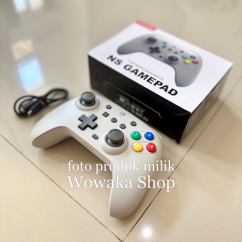 Gamepad Echtpower NS01 Preloved Second