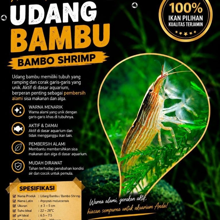 hiasan aquarium udang hias bambu/bamboo shrimp