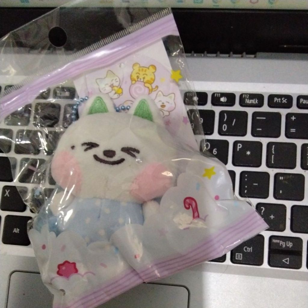 LINE FRIENDS X NCT DREAM V4  KEYRING DOLL JJED JENO DREAMIEZ (Sealed)