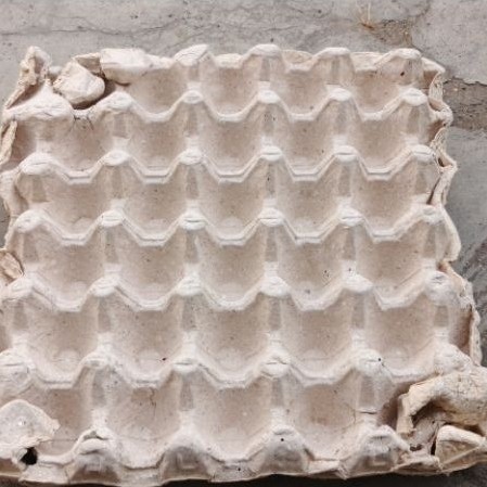 Egg Tray Karton Bekas - Praktis, Ekonomis, Kapasitas 36 Telur