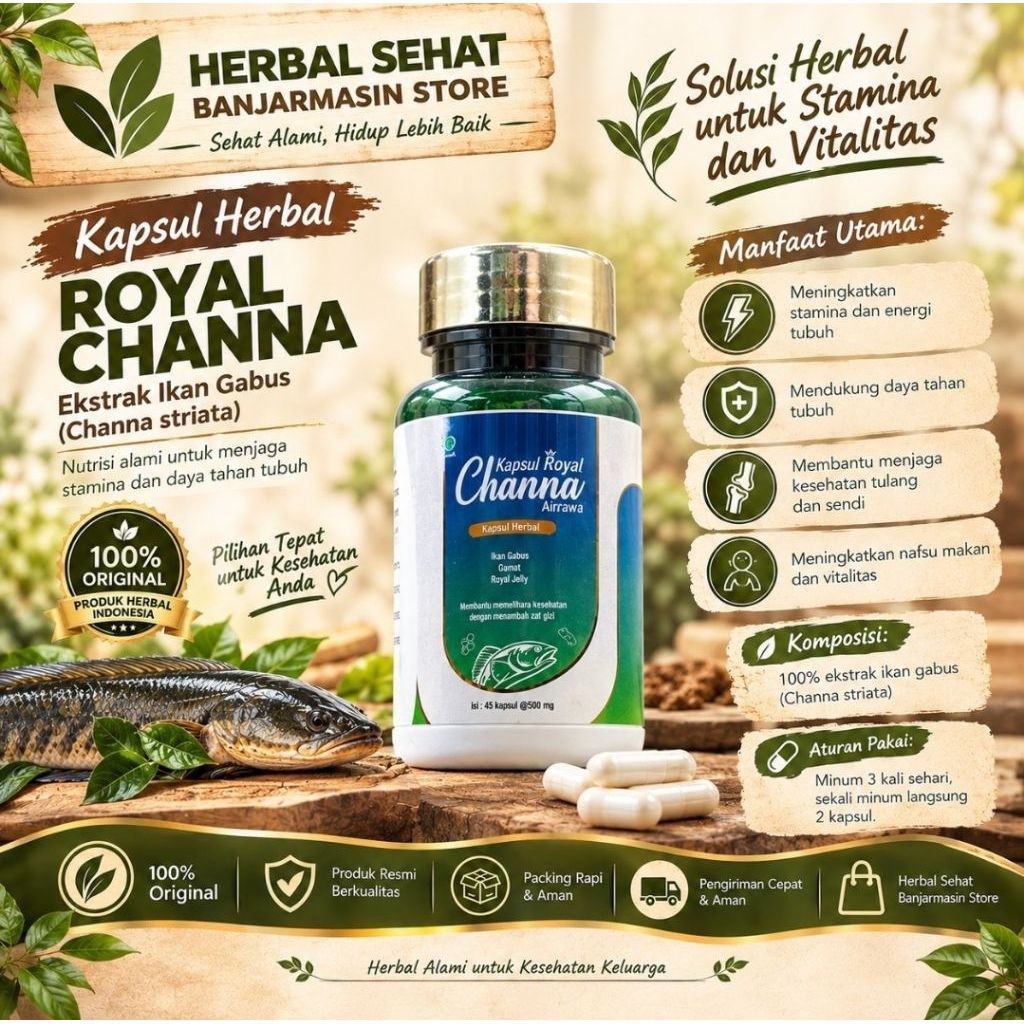 Royal Channa Kapsul Penyembuhan Luka Ikan Gabus Teripang Royal Jelly 45 Kapsul