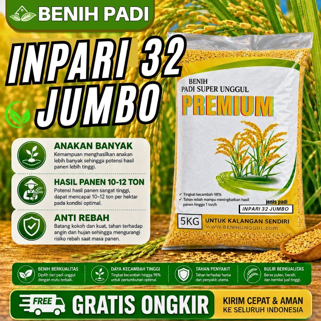 BENIH PADI UNGGUL INPARI 32 JUMBO KEMASAN 5 KG BENIH PADI KUALITAS ORIGINAL