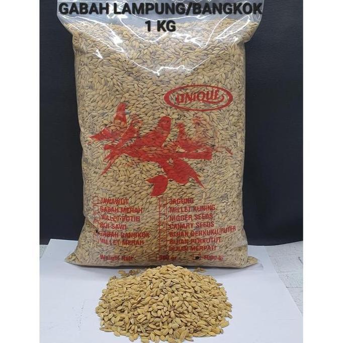 GABAH BANGKOK/GABAH LAMPUNG