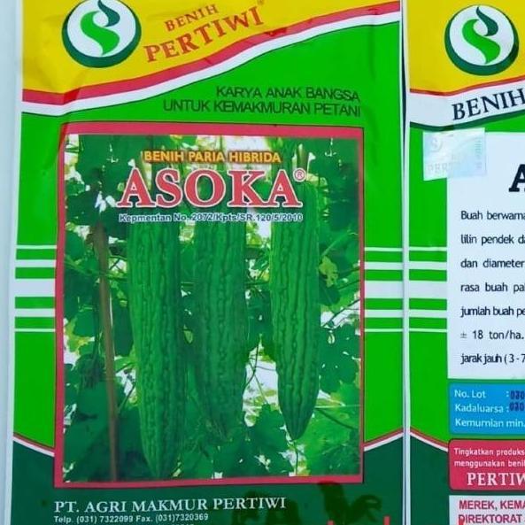 Benih Paria Asoka F1  10 Gram Biji Pare Hibrida Asoka Paria Pahit Dari Benih Pertiwi