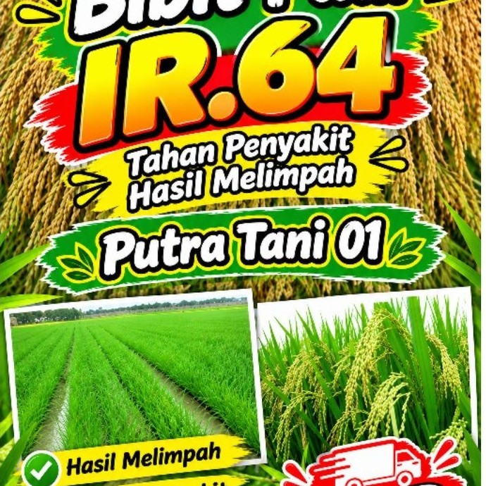Bibit padi IR. 64 Kemasan 5kg