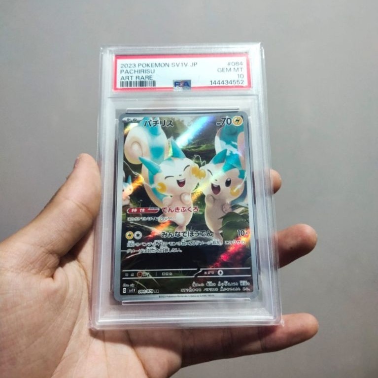 PSA 10 pachirisu