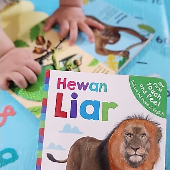 Board Book Tekstur Hewan Liar