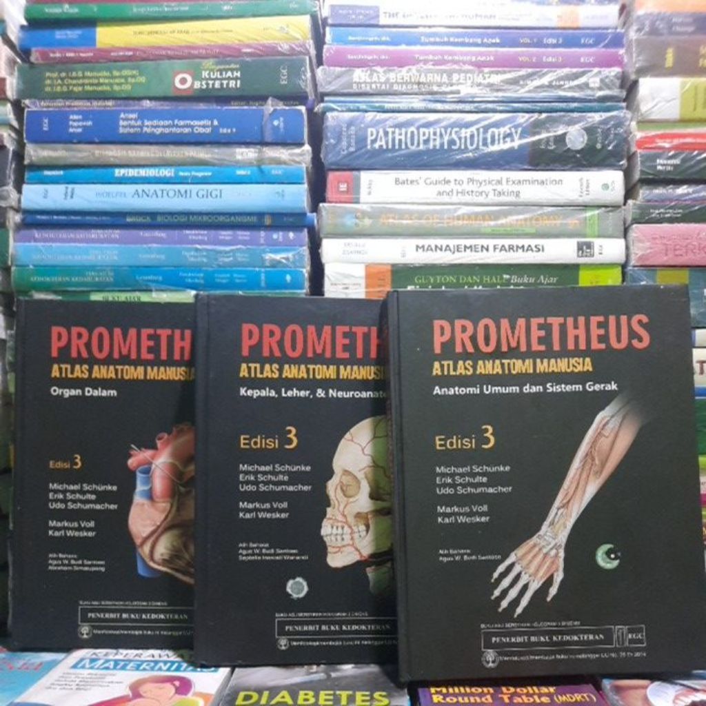 PROMETHEUS ATLAS ANATOMI MANUSIA  EDISI 3 VOLUME 1, 2, 3