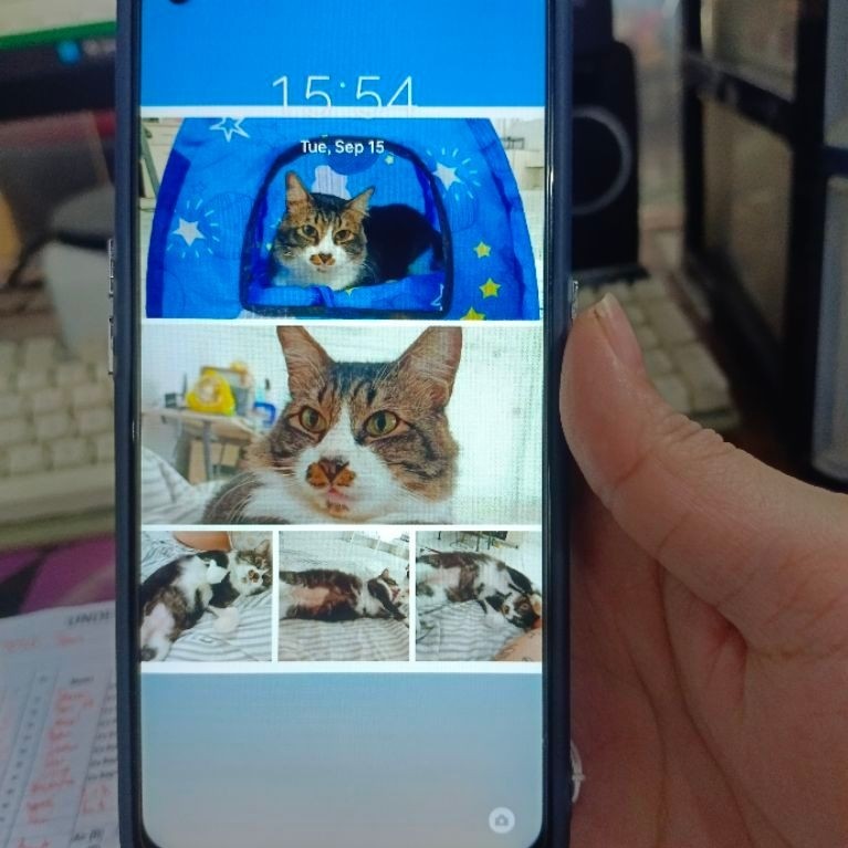 Seken Second HP Oppo A53 - Batangan dan Charger Oppo