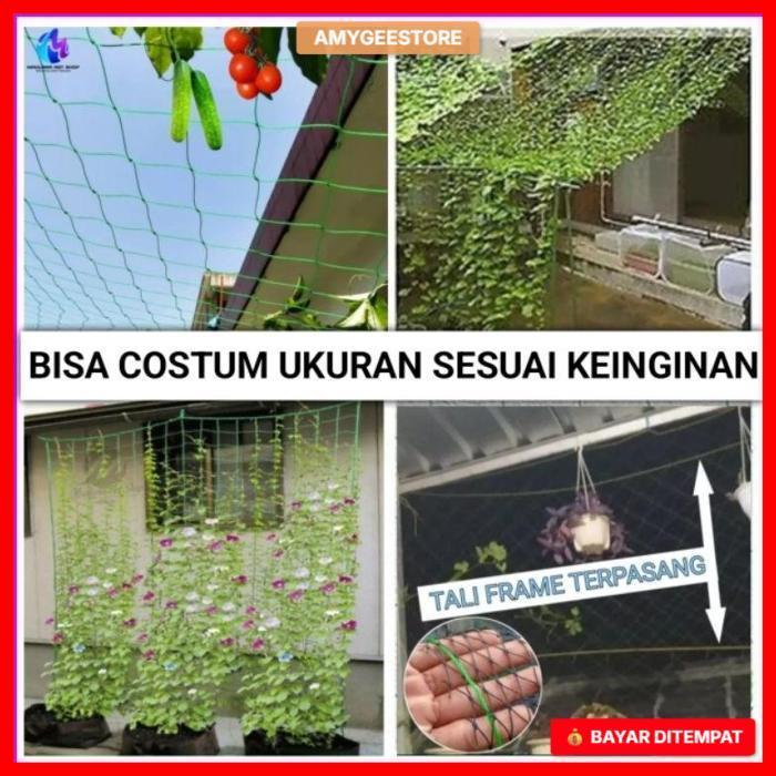 Jaring tanaman rambat buah/Jaring rambatan tanaman/Jaring tanaman merambat