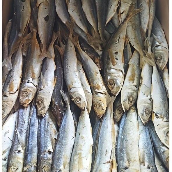 IKAN ASIN LAYANG REBUS