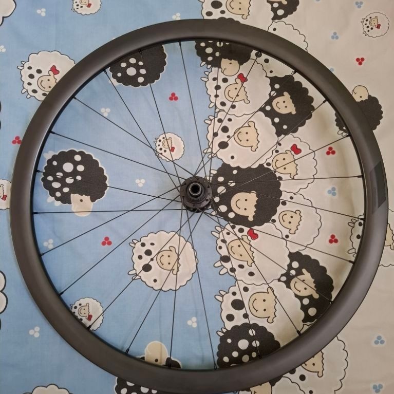 Wheelset Entity WR 300