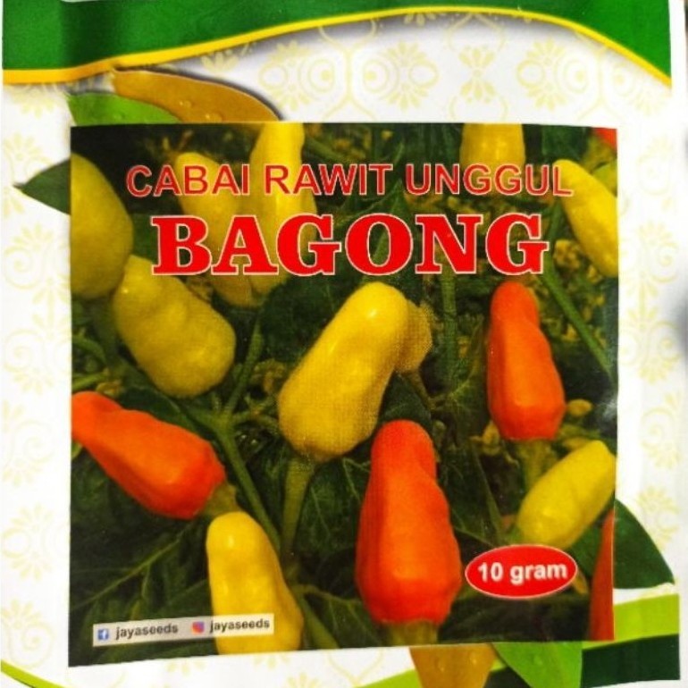 Benih bibit cabai rawit Bagong - PK