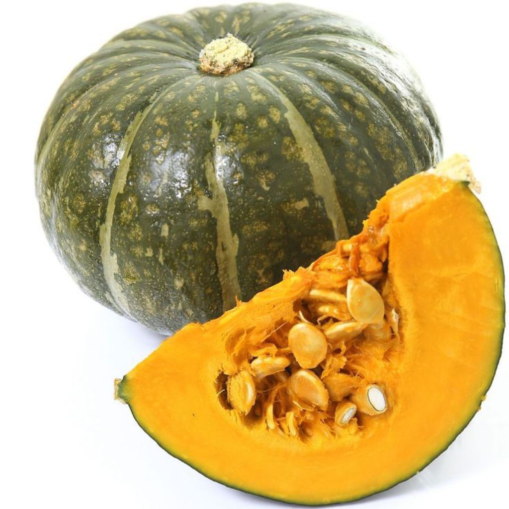 Labu Kuning Segar