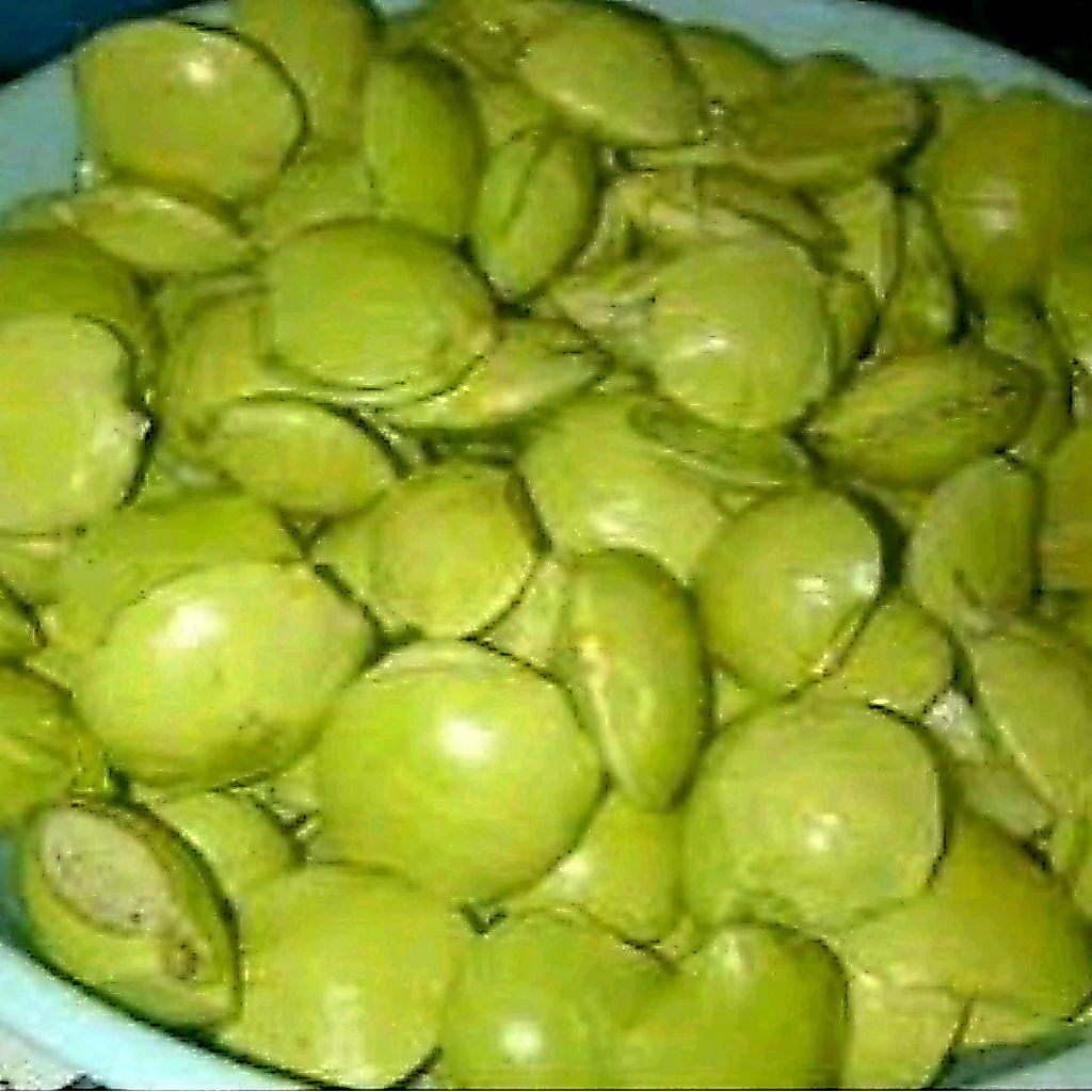 Jengkol Muda dan Tua Segar 1 kg, Kulit Masih Utuh