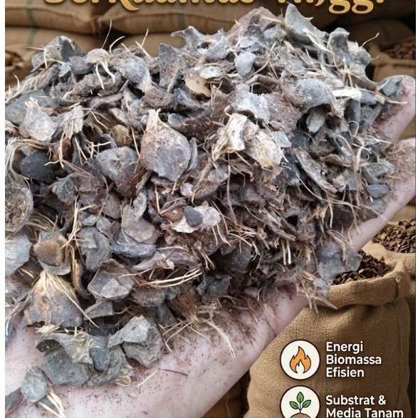 cangkang kelapa sawit