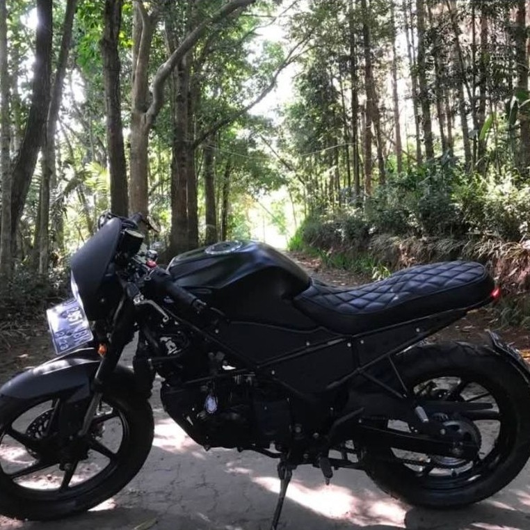 motor Caferacer (basic honda CB150R)