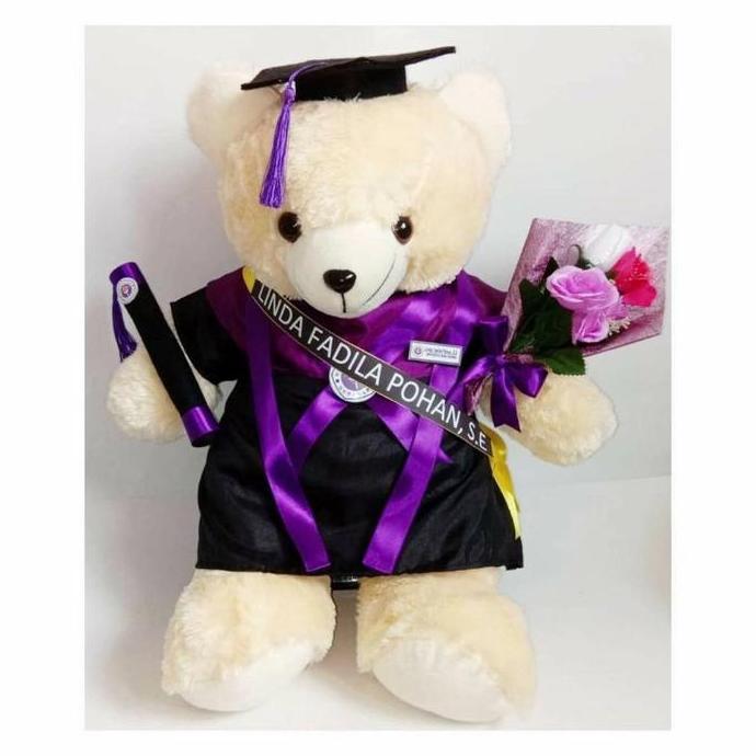 DF52 - Boneka Bear Wisuda 60cm Special