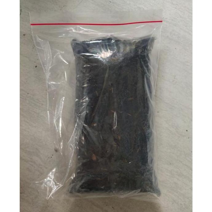 Media Tanam Kaktus - Tanah Pasir Malang Arang Sekam 1KG