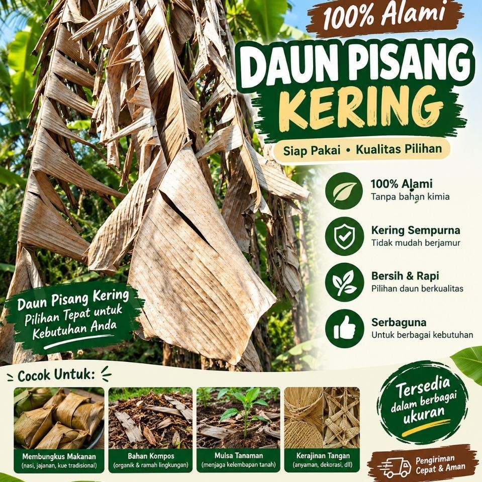 daun klaras/daun pisang kering